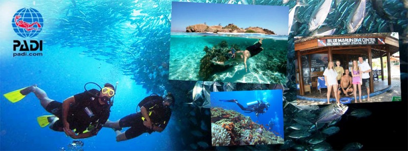 Lombok Snorkeling and Diving Gili